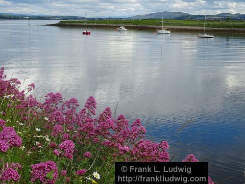 Rosses Point